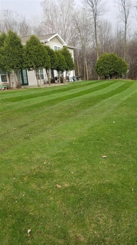 best lawn care appleton wi